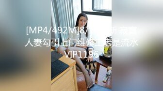 [MP4/492M]8/14最新 寂寞人妻勾引上门维修工老是流水VIP1196