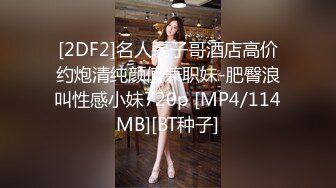 漂亮大奶美女在家被无套输出 呻吟连连 这身材是真好 Q弹Q弹的大奶子太诱惑了