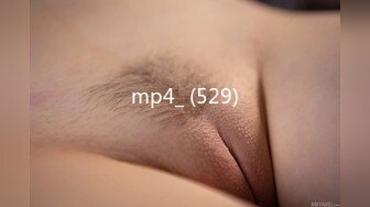 mp4_ (529)