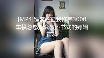 [MP4]嫖客的自我修养3000车模忽悠无套教科书式的嫖娼百科