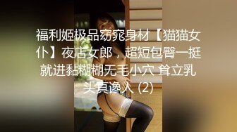 福利姬极品窈窕身材【猫猫女仆】夜店女郎，超短包臀一挺就进黏糊糊无毛小穴 耸立乳头真谗人 (2)