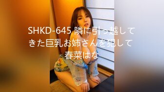 SHKD-645 隣に引っ越してきた巨乳お姉さんを犯して 春菜はな