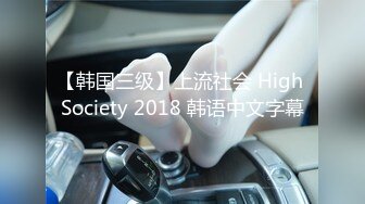 【韩国三级】上流社会 High Society 2018 韩语中文字幕