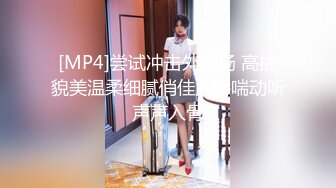 [MP4]尝试冲击外围场 高挑貌美温柔细腻俏佳人娇喘动听声声入骨