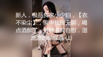 新人，极品良家小少妇，【衣不染尘】，家中独居无聊，喝点酒醉了，各种道具自慰，湿漉漉的蝴蝶逼 (1)