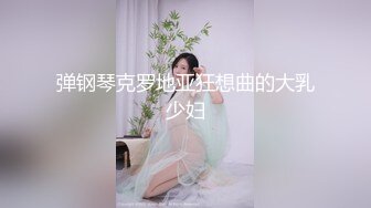 弹钢琴克罗地亚狂想曲的大乳少妇