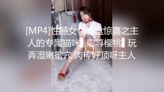 [MP4]性感女仆盲盒惊喜之主人的专属猫咪▌宸荨樱桃▌玩弄湿嫩蜜穴 肉棒好顶呀主人