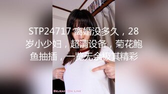 STP24717 离婚没多久，28岁小少妇，超清设备，菊花鲍鱼抽插，一览无余极其精彩