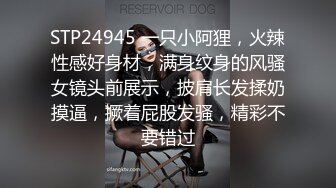 STP24945 一只小阿狸，火辣性感好身材，满身纹身的风骚女镜头前展示，披肩长发揉奶摸逼，撅着屁股发骚，精彩不要错过