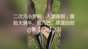 二次元小萝莉，人美声甜，露脸大黑牛、假几巴、跳蛋自慰合集【72v】 (2)