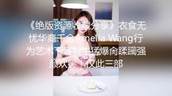 《绝版资源收藏分享》衣食无忧华裔千金Amelia Wang行为艺术下海被生猛爆肏蹂躏强颜欢笑！仅此三部