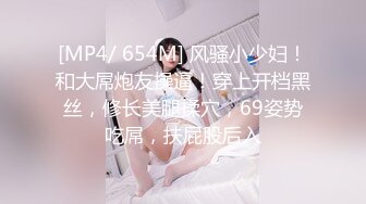 [HD/1.4G] 2024-11-09 MD-0332宅男晕船外送茶