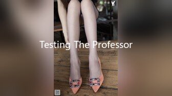 Testing The Professor