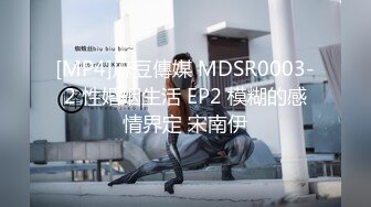 [MP4]麻豆傳媒 MDSR0003-2 性婚姻生活 EP2 模糊的感情界定 宋南伊