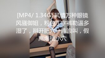 AI换脸视频】宋轶 败给女友姐姐巨乳诱惑的我