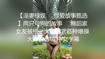 【淫妻绿奴❤️性爱故事甄选】两只母狗的故事❤️舞蹈家女友被榜一大哥打赏各种爆操 大神自剪辑 中文字幕