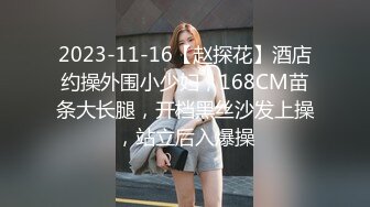 2023-11-16【赵探花】酒店约操外围小少妇，168CM苗条大长腿，开档黑丝沙发上操，站立后入爆操