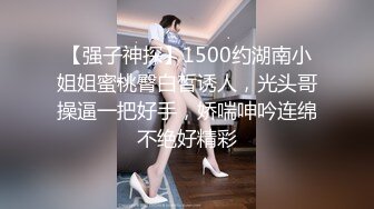 情欲系列-性感魅惑色兔兔-李娜娜 大象传媒