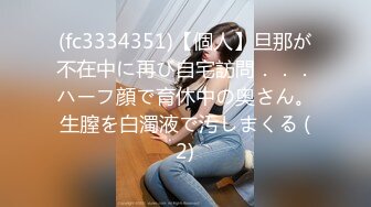 (fc3334351)【個人】旦那が不在中に再び自宅訪問．．．ハーフ顔で育休中の奥さん。生膣を白濁液で汚しまくる (2)