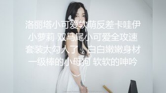 無名小卒α - 淫落铄金娘