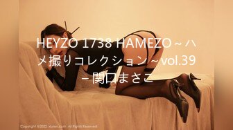 HEYZO 1738 HAMEZO～ハメ撮りコレクション～vol.39 – 関口まさこ