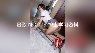 豪歌 NO.003 护士学习资料