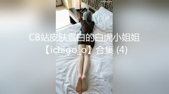 精品人妻中文av一区二区