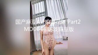 鞭策女仆，高叉细带勒紧缝隙，大PP挨鞭子~