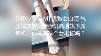 [MP4/ 203M] 优雅女白领 气质端庄的女老板饥渴出轨下属司机，你喜欢这个女老板吗？