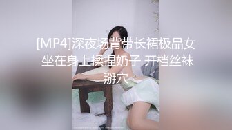 [MP4]深夜场背带长裙极品女 坐在身上揉捏奶子 开档丝袜掰穴