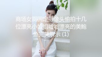 大像传媒之家政婦阿姨短裙的誘惑