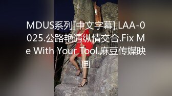 MDUS系列[中文字幕].LAA-0025.公路艳遇纵情交合.Fix Me With Your Tool.麻豆传媒映画