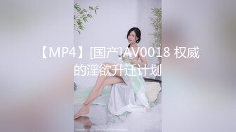 【MP4】[国产]AV0018 权威的淫欲升迁计划