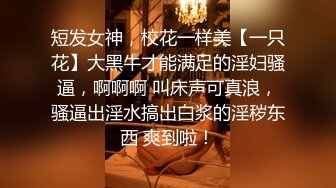 短发女神，校花一样美【一只花】大黑牛才能满足的淫妇骚逼，啊啊啊 叫床声可真浪，骚逼出淫水搞出白浆的淫秽东西 爽到啦！