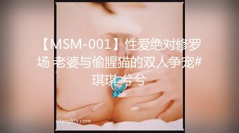 【MSM-001】性爱绝对修罗场 老婆与偷腥猫的双人争宠#琪琪 兮兮