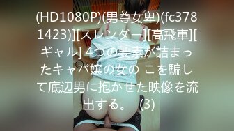 [MP4/230M]3/27最新 妖艳美女模特被小哥一顿猛操姿势花样百出VIP1196