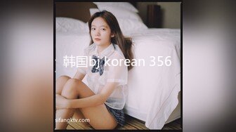 韩国bj korean 356