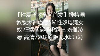 【性爱调教全网首发】推特调教系大神虐恋SM性奴母狗女奴 狂操捆绑 群P露出 羞耻凌辱 高清720P原版无水印 (2)