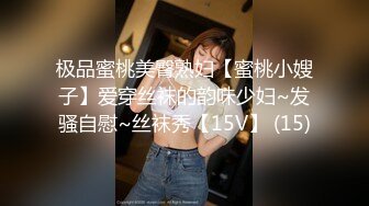 极品蜜桃美臀熟妇【蜜桃小嫂子】爱穿丝袜的韵味少妇~发骚自慰~丝袜秀【15V】 (15)