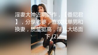 淫妻大神近期新作，【番尼君】，分享老婆，喜欢找单男和换妻，质量挺高，淫乱大场面，下 (2)