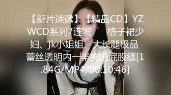 【新片速遞】【精品CD】YZWCD系列7连发❤️ 格子裙少妇、jk小姐姐、大长腿极品 蕾丝透明内一半夹进屁股缝[1.84G/MP4/00:10:46]