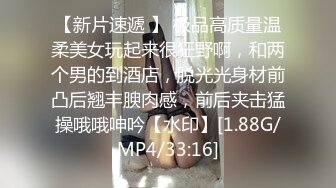 [MP4]【啪啪列车❤️深夜捷运末班车❤️行驶车厢内的两名陌生男子】