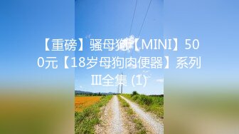 【重磅】骚母狗【MINI】500元【18岁母狗肉便器】系列III全集 (1)