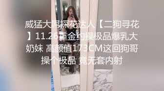 威猛大屌探花达人【二狗寻花】11.26重金约操极品爆乳大奶妹 高颜值173CM这回狗哥操个极品 竟无套内射