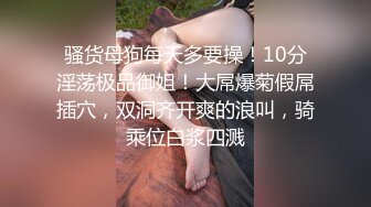 [MP4]旗袍性感少妇TP啪啪沙发舔奶隔着内裤摸逼舔弄口交