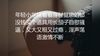 纱裙之下的小熊