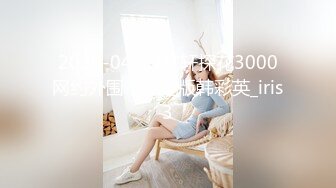 2020-04-17文轩探花3000网约外围，低配版韩彩英_iris3