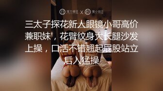 三太子探花新人眼镜小哥高价兼职妹，花臂纹身大长腿沙发上操，口活不错翘起屁股站立后入猛操