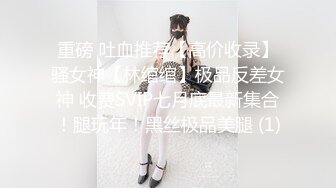 重磅 吐血推荐【高价收录】骚女神【林绾绾】极品反差女神 收费SVIP七月底最新集合！腿玩年！黑丝极品美腿 (1)