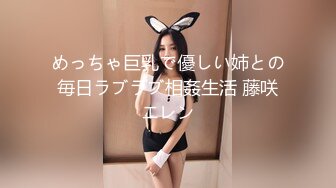 めっちゃ巨乳で優しい姉との毎日ラブラブ相姦生活 藤咲エレン